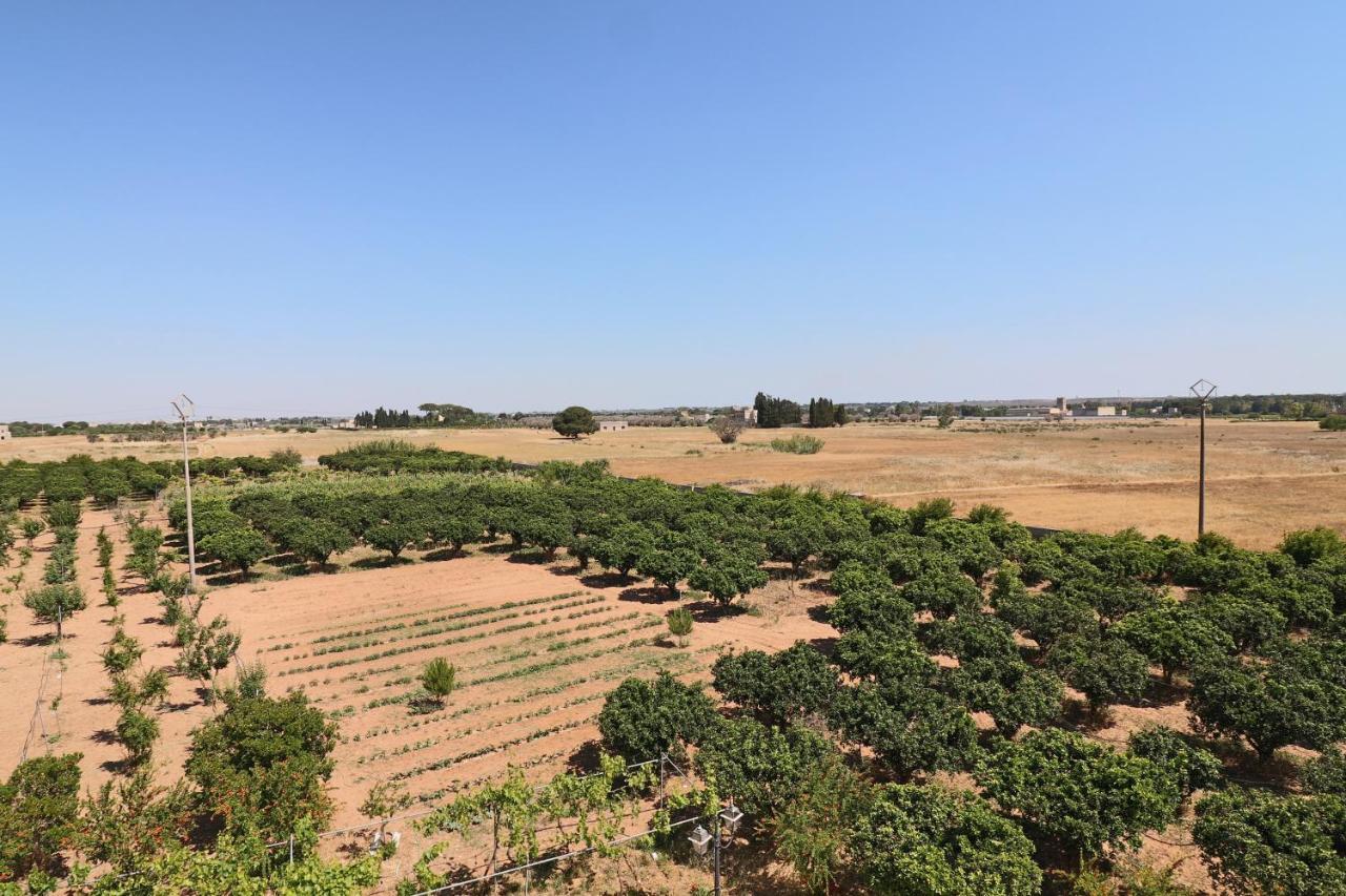 Carmiano  Tenuta Degli Agrumi מראה חיצוני תמונה